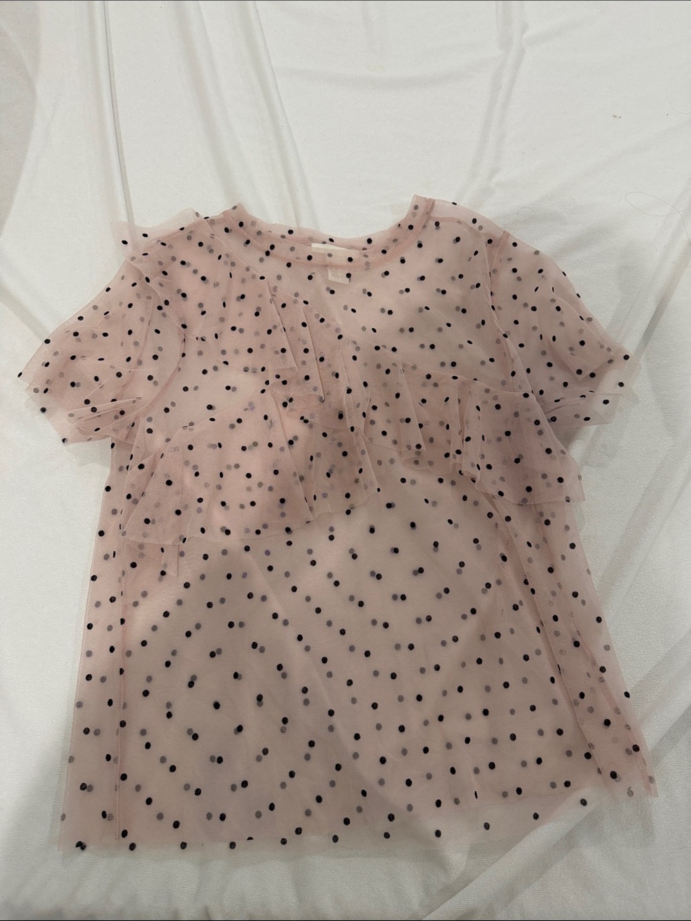 H&M Sheer Blush Pink Polka Dot Ruffle Short Sleeve Blouse